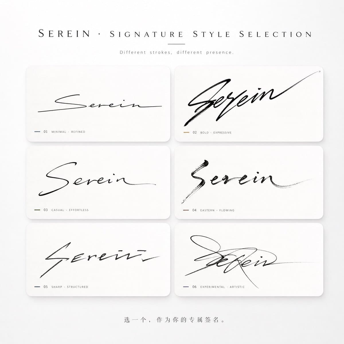 Signature Style Selection Sheet preview image 1