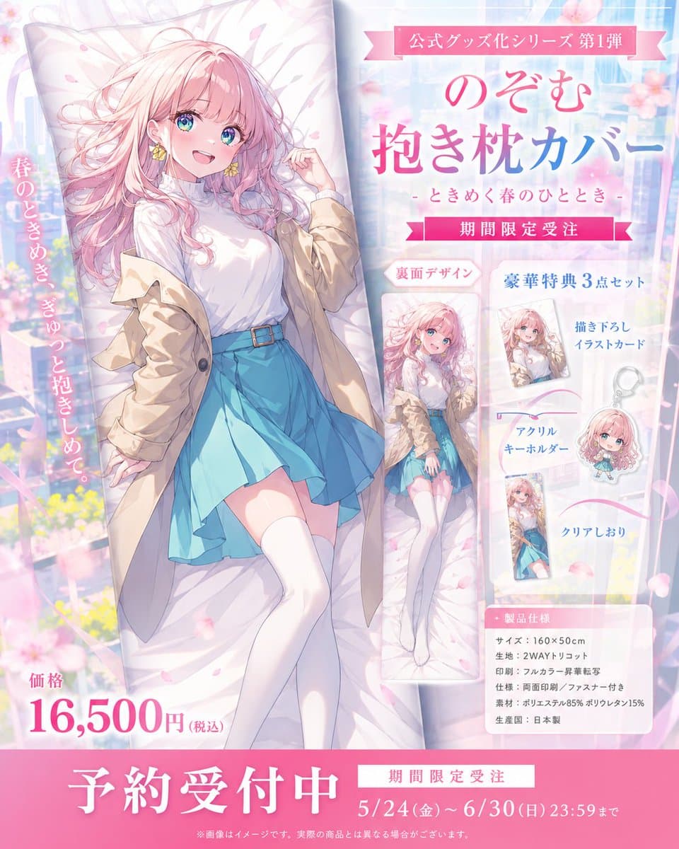 Anime Dakimakura Preorder Poster preview image 1