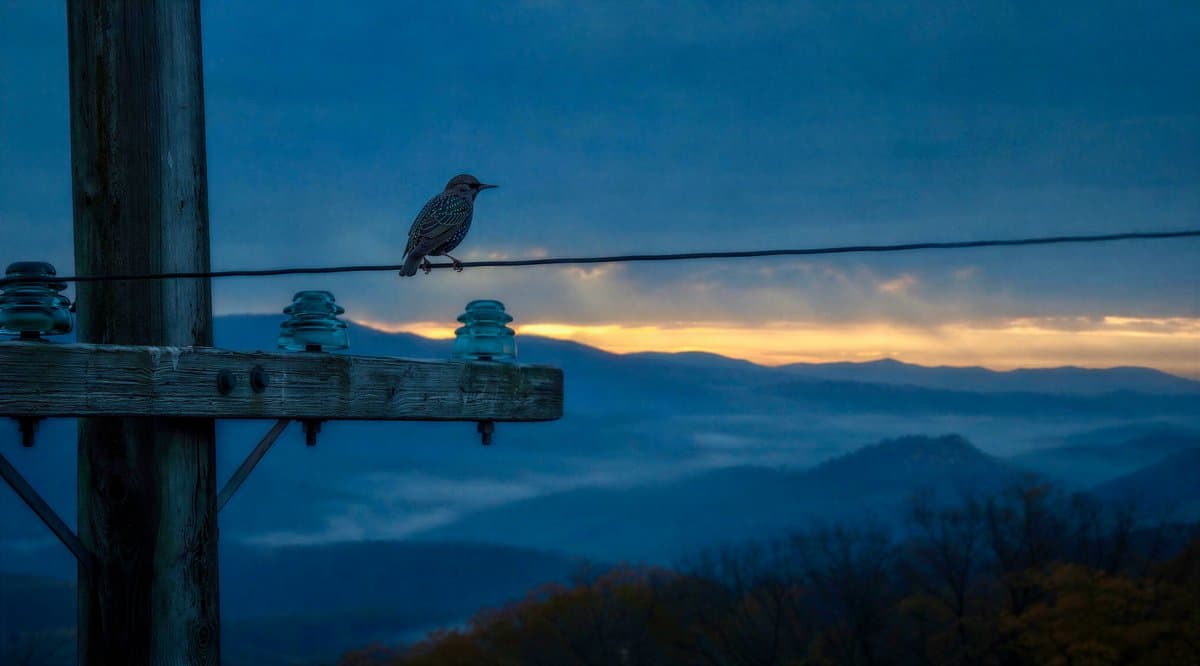 Windblown Woman on Misty Mountain preview image 2