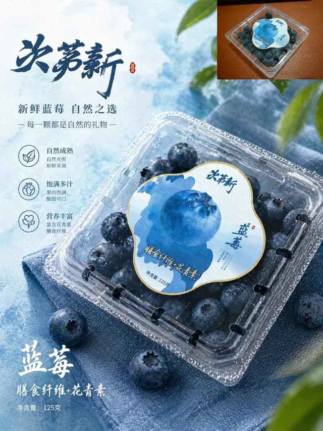 Premium Blueberry Product Poster preview image 1