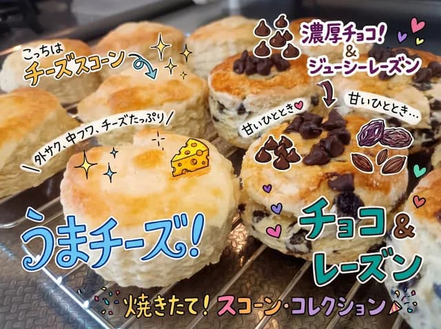 Colorful Annotated Scone Photo preview image 1