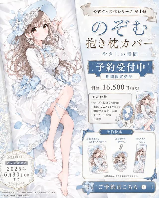 Anime Dakimakura Preorder Poster preview image 1