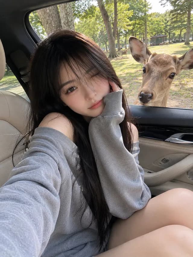 Candid Mobile Travel Snapshot with Deer preview image 1