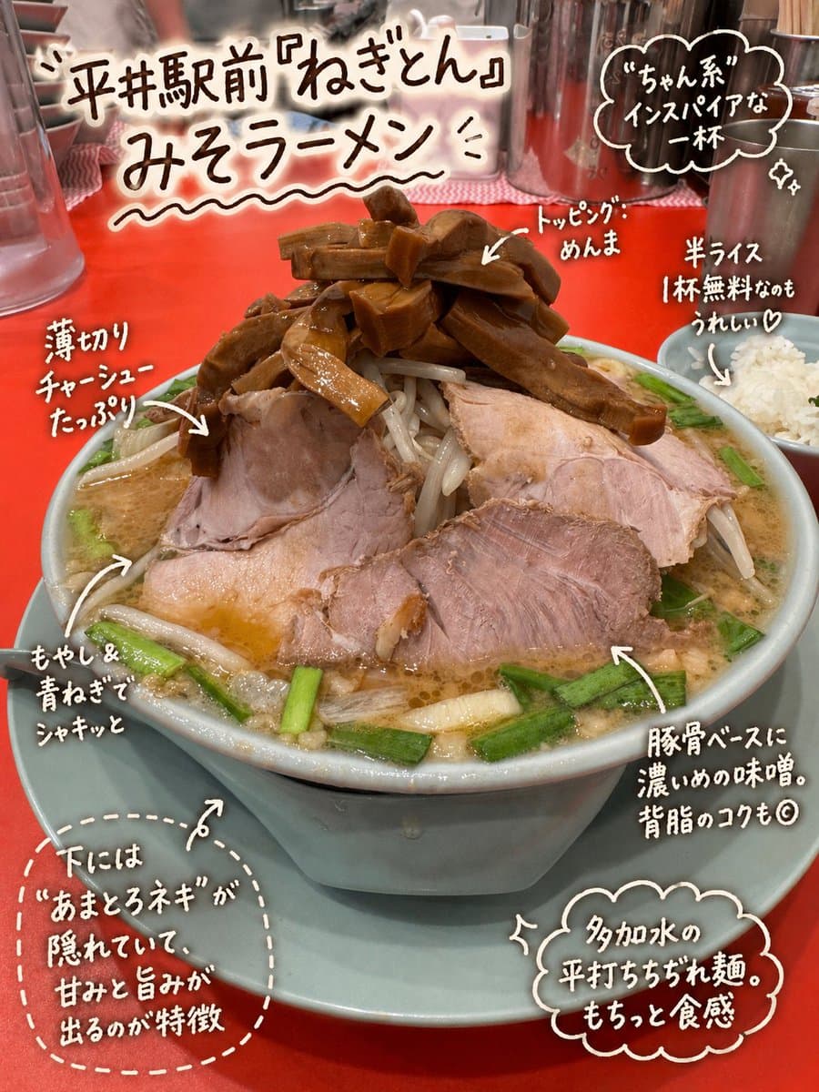 Annotated Japanese Miso Ramen Photo preview image 1