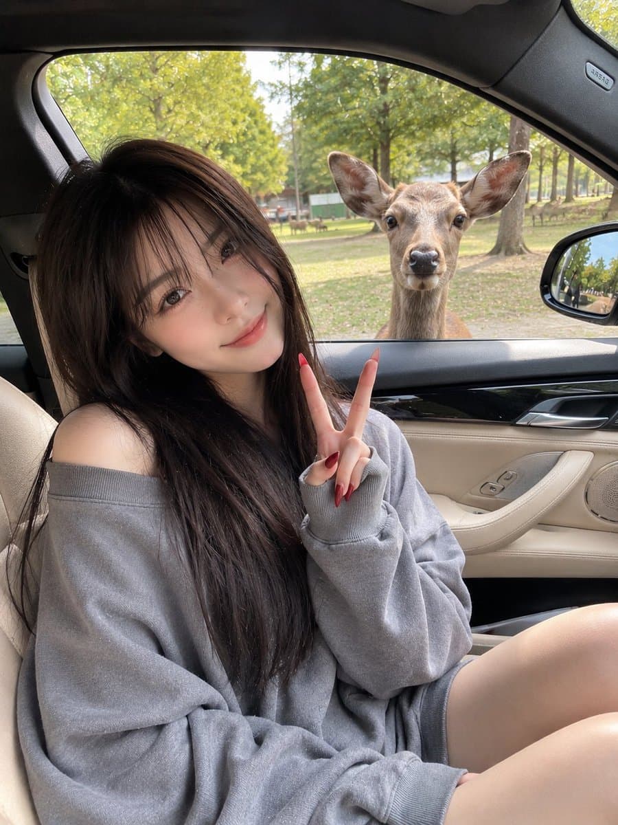 Candid Mobile Travel Snapshot with Deer preview image 2